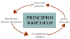 Bioética en ciencia. En colaboración con Ciencia con 3 enCantos 
