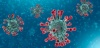 Coronavirus: El Enemigo Pequeño que nos Ha Tapado la Boca a Todos