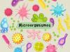 CONFERENCIA. Los microorganismos: de enemigos acérrimos a compañeros inseparables