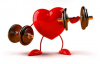 Enfermedad cardiovascular, ejercicio físico y longevidad