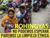 Conferencia-mesa redonda sobre la crisis de los Rohingyas (Actividad Conjunta con Amnistía Internacional de Tres Cantos)